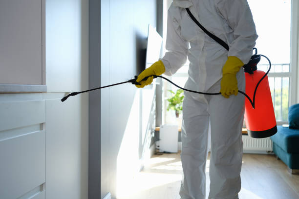 Crawl Space Mold Removal in Lawrenceville, VA