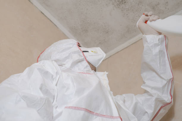 Best Mold Testing and Removal  in Lawrenceville, VA
