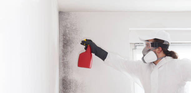 Best Toxic Mold Removal  in Lawrenceville, VA