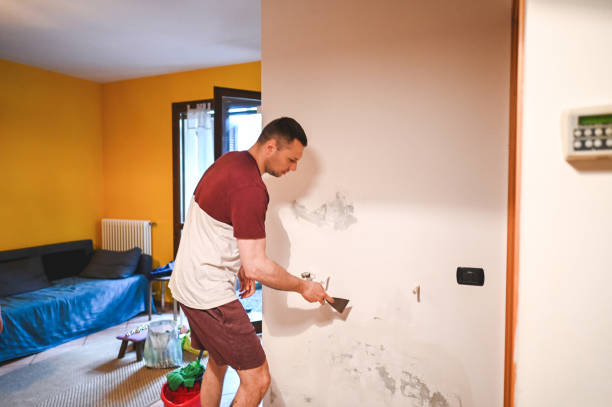 Best Local Mold Removal Service  in Lawrenceville, VA